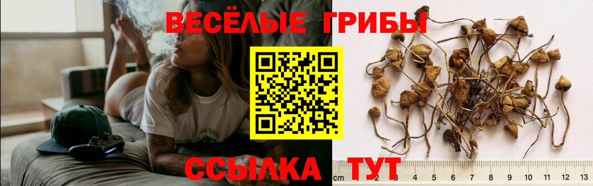 Карпинск  Галлюциногенные грибы Magic Shrooms  Вход с VPN 